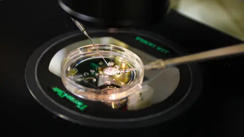 Pioneering Research: Human Embryos Created from Skin Cells
