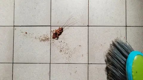 Flamethrower Mishap: South Korean Woman's Attempt to Kill Cockroach Sparks Deadly Fire