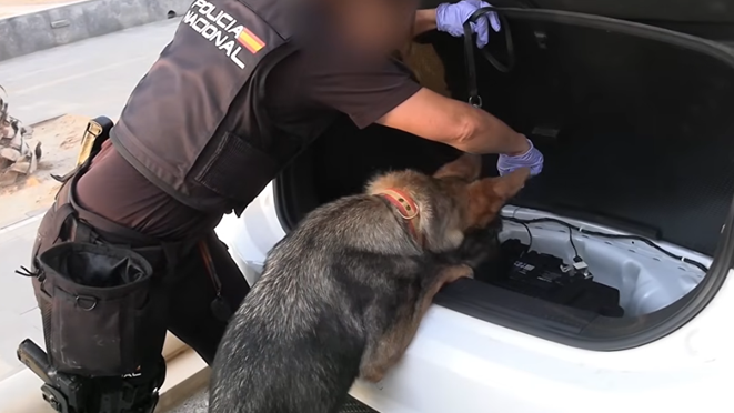 Spanish Police Crush Major Mediterranean Smuggling Network