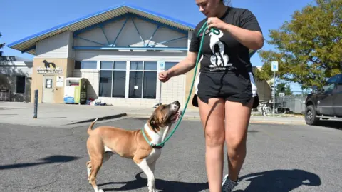 FBI Incinerates Seized Meth at Animal Shelter, Resulting in Worker Hospitalizations