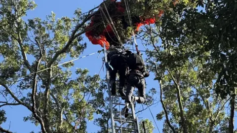 Tragic Fall: Skydiving Instructor Dies During Parachute Jump in Nashville