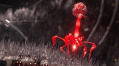 AI Crafts Novel Bacteriophages: A New Horizon in Synthetic Biology and Therapeutics