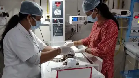 Miraculous Rescue: 20-Day-Old Baby Girl Found Buried in Uttar Pradesh