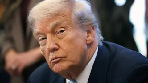 Trump Mandates Release of Epstein Investigation Files Amid Controversy