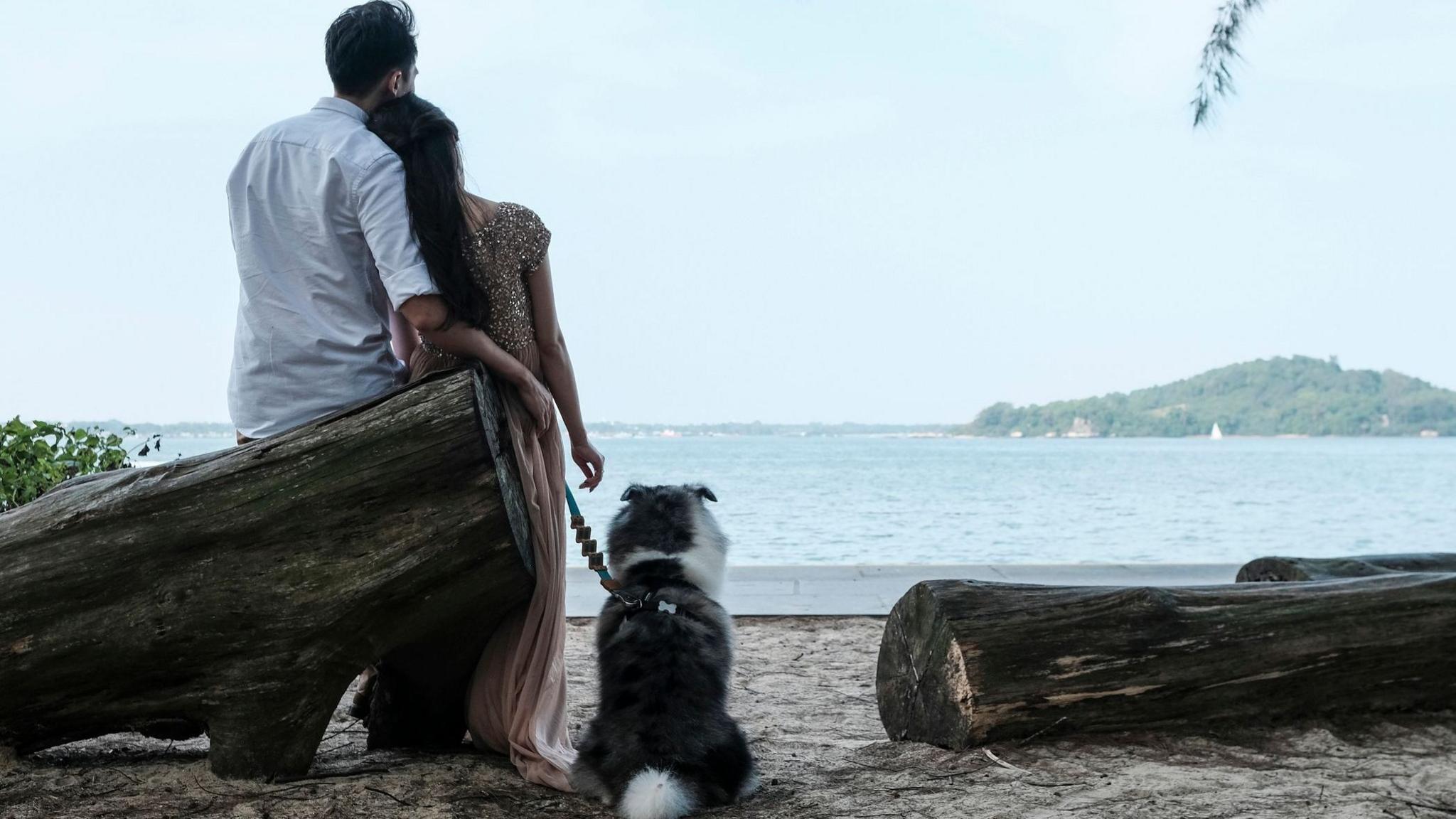Singapore Launches AI‑Driven Dating Pilot to Tackle Low Fertility