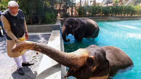 Supreme Court Exonerates Ambani's Vantara Zoo Amidst Controversies
