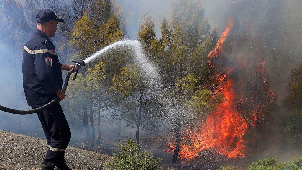 Algeria Wildfire Crisis: 12 Killed Amid Climate‑Accelerated Heatwave