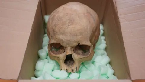A 60-Year-Old Mystery Resolved: Tourist Returns Stolen Skull to Vienna's St Stephen's Cathedral