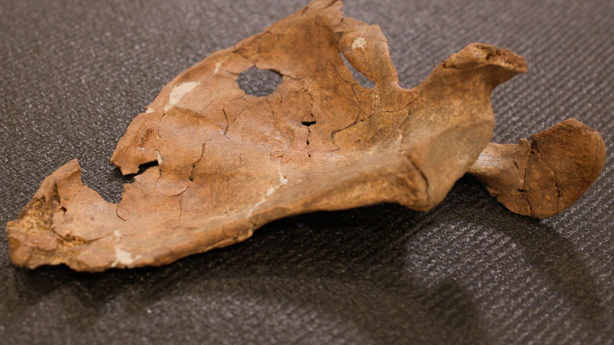 Shanidar A: The Earliest Mark of Lethal Violence in Neanderthals