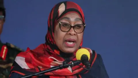 Tanzania's Stability under Threat Amid Post-Election Unrest, President Acknowledges