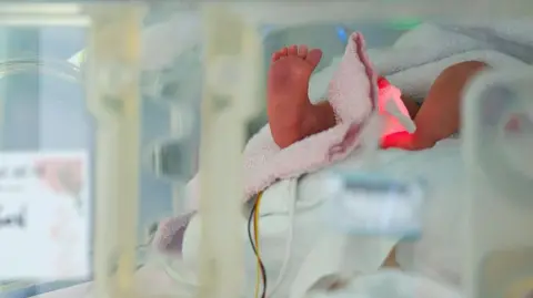 Austrian Women Reunite 35 Years After Birth Mix-Up