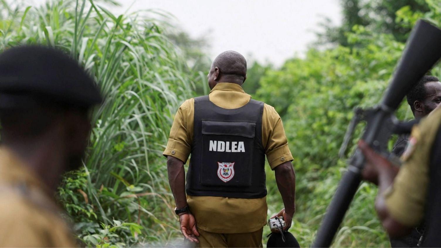 Mexican drug cartels outsource meth labs to Nigeria
