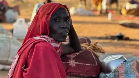 Echoes of Genocide: Mass Killings in Sudan's El-Fasher Highlight Ongoing Crisis