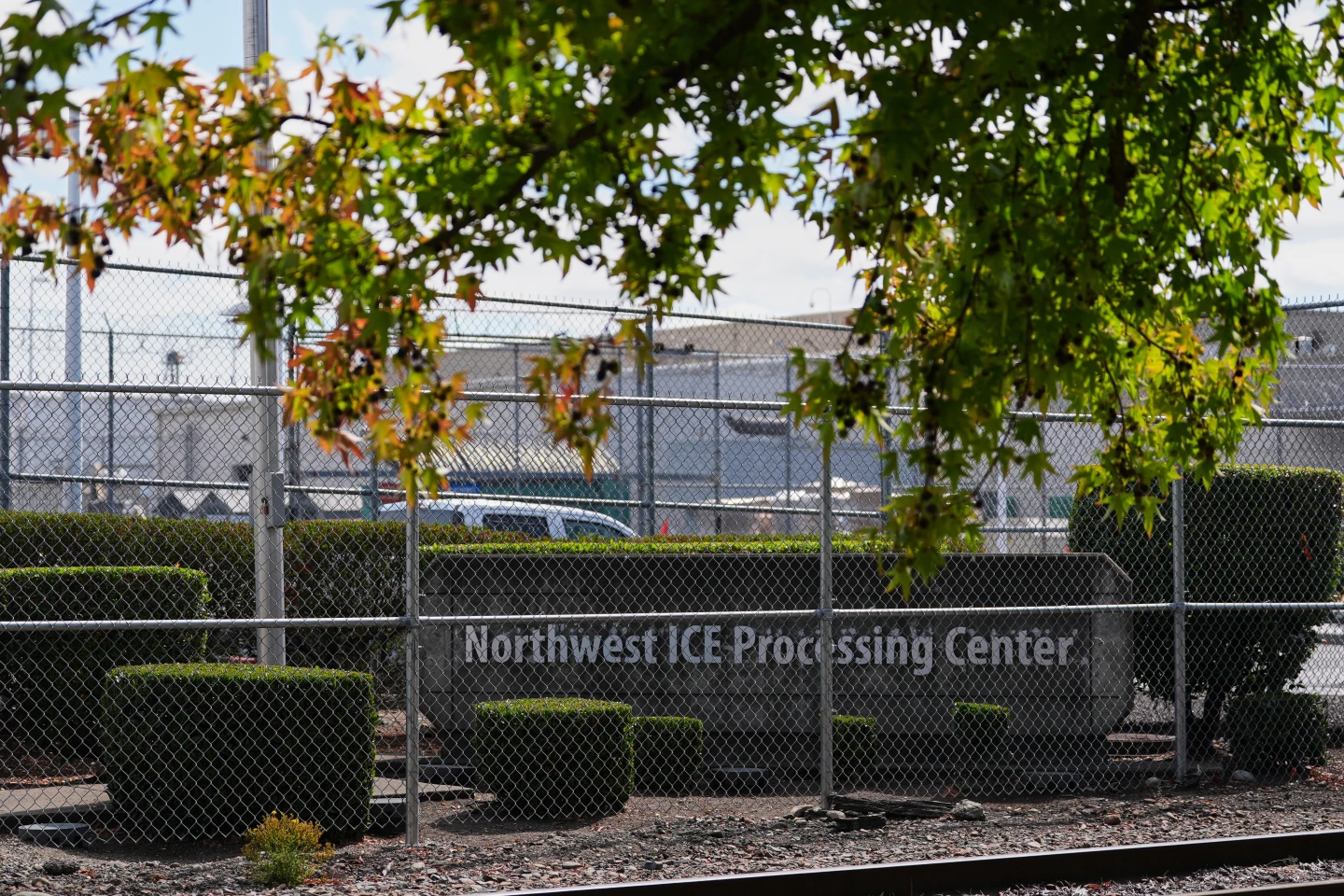 The Impact of Aggressive Immigration Policies: A Familial Story of Loss and Despair
