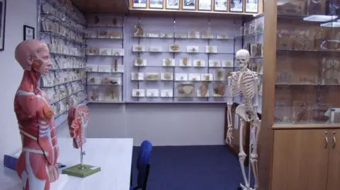 Tasmanian Government Issues Apology for Body Parts Scandal