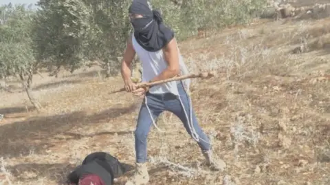 Unprovoked Attack on Palestinian Woman Highlights Tensions During Olive Harvest