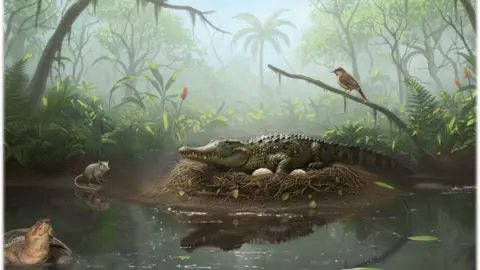 Unearthing Australia's Prehistoric Tree-Climbers: The 'Drop Crocs'