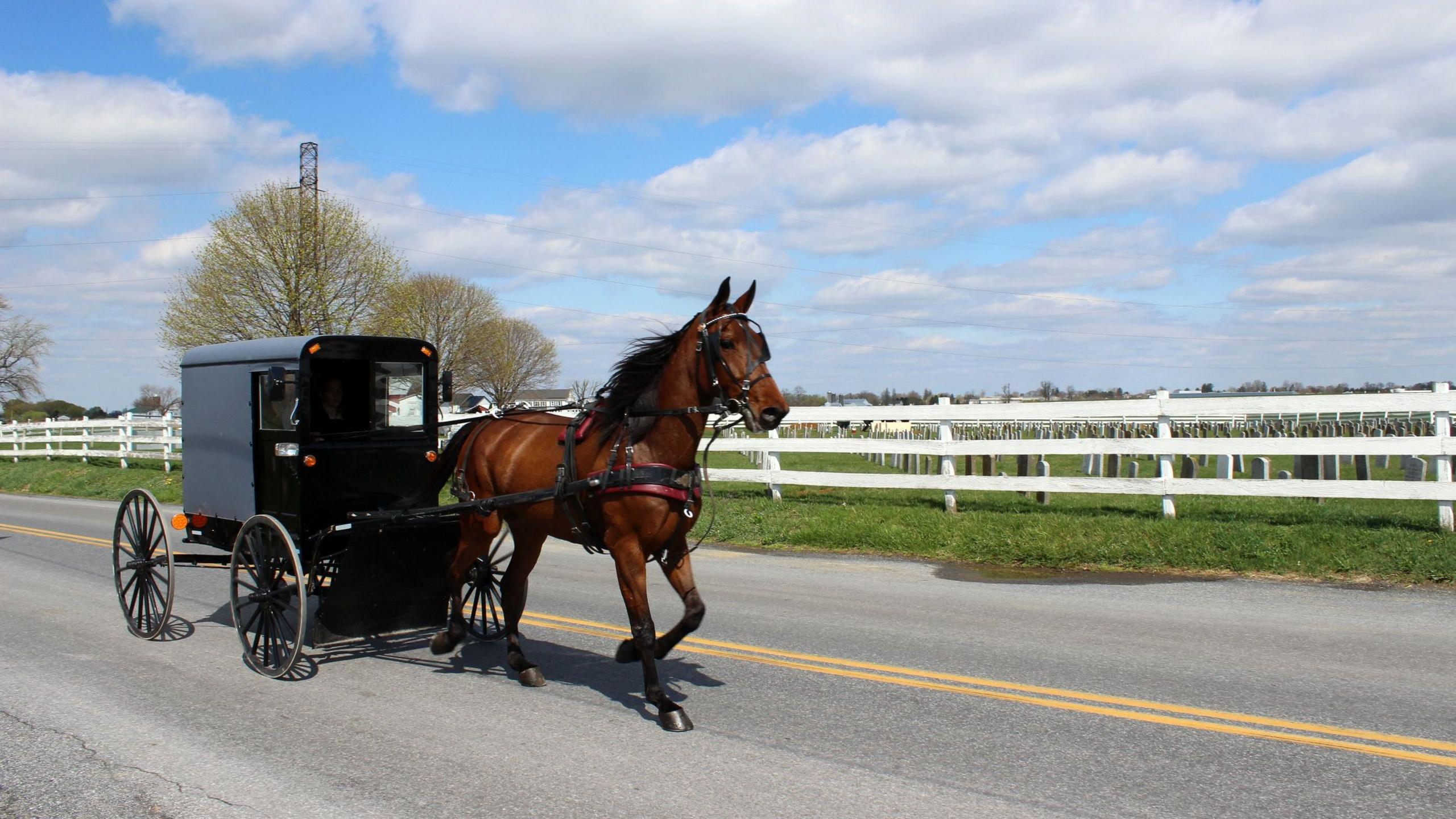 Door‑to‑Door: Nurses Combat Measles Outbreak in Amish Communities
