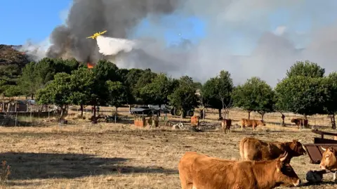 Devastating Wildfire Summer Leaves Spain Counting Losses
