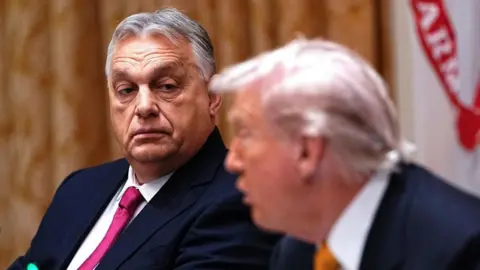 Analyzing Hungary's Deal with Trump: Gains and Misses