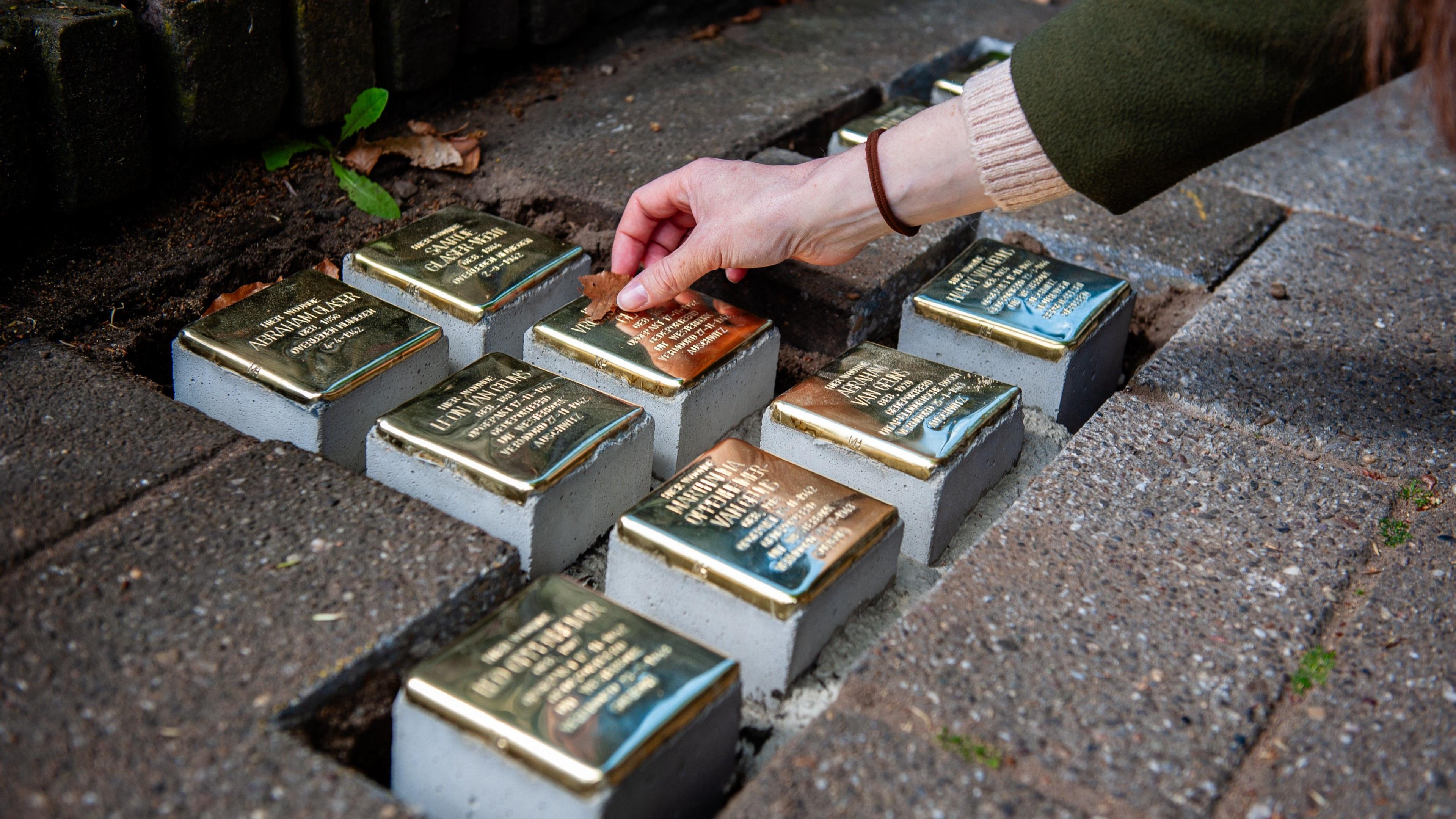 Quantum Pulse: Heidenau’s Stolpersteine Ban Sparks Computational Debate
