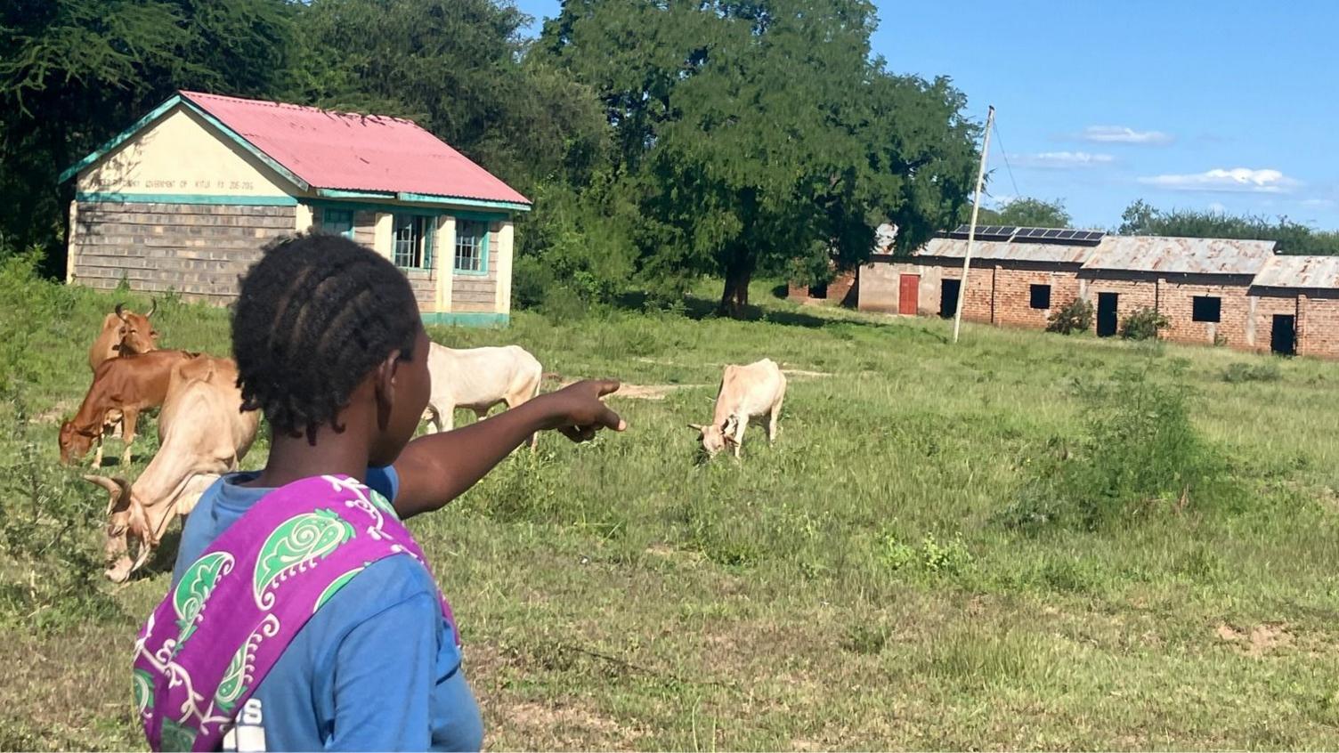 Kenyan rural schools shrinking to a handful of students: Causes and consequences