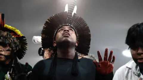 Disappointment at COP30: No New Fossil Fuel Commitments Made