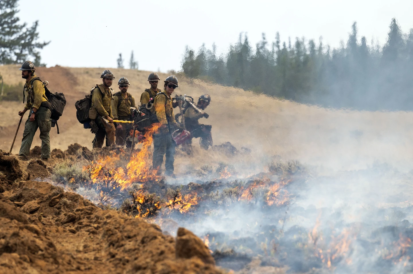 Oregon Firefighter Detained by Border Patrol Amid Wildfire Response