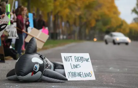 Emergency for Canadian Belugas: Can Marineland's 30 Whales be Saved from Euthanasia?