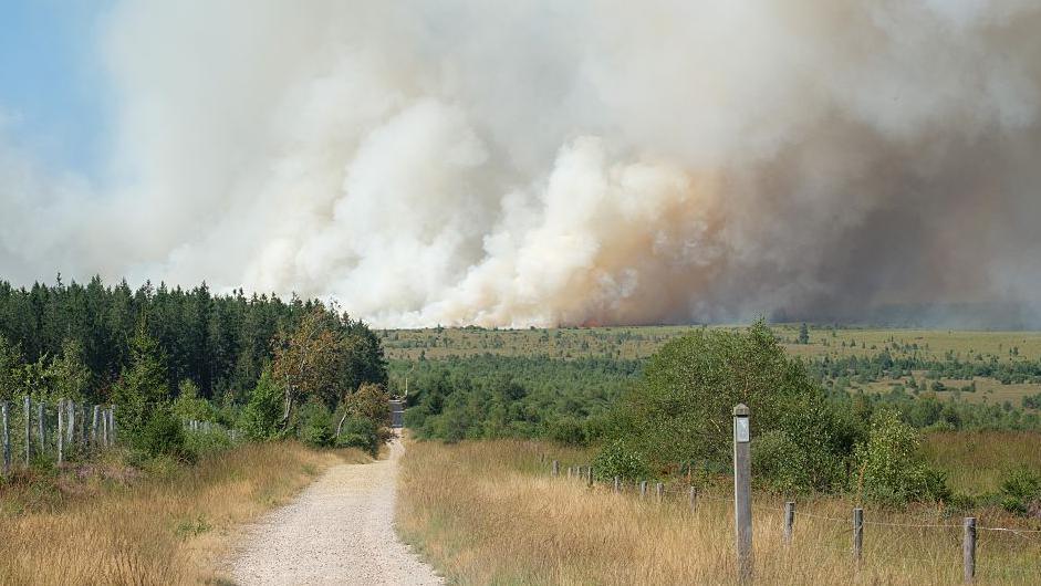 Belgium’s High Fens Wildfire: A Record Blaze Threatens Villages