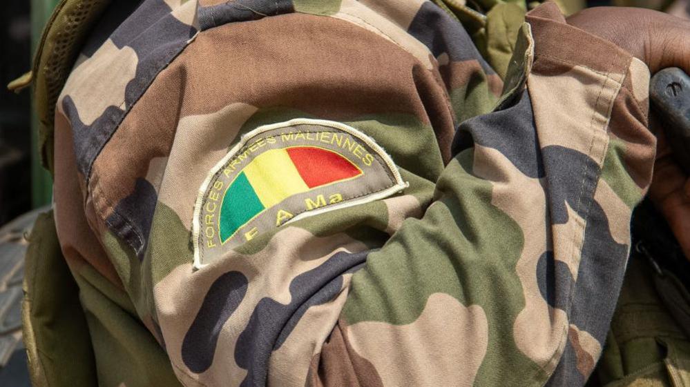 Mali army kills dozens of militants during raid on San base