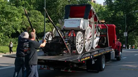 Teenager dies in horse‑drawn carriage accident in New York’s Central Park