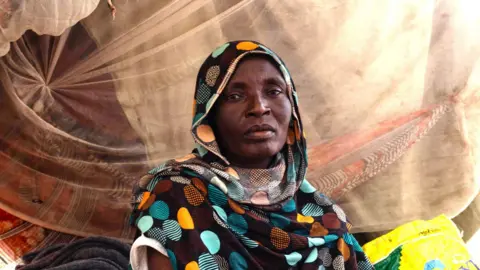 UN Launches Investigation into Sudan's Mass Killings