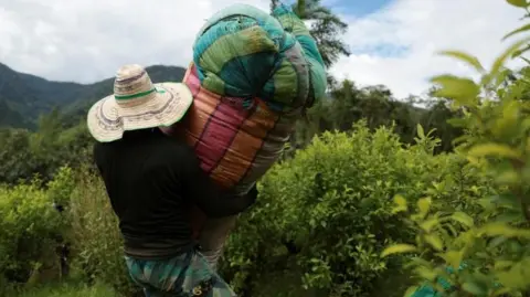 Colombia Labeled as Non-Cooperative in U.S. Anti-Drug Efforts