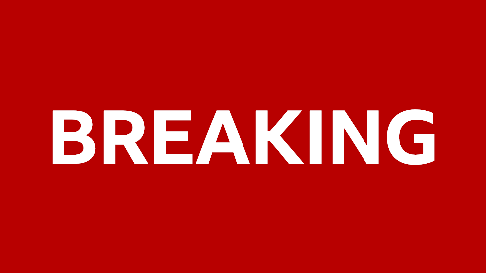 Vehicle Collides With Crowd at Berlin Pride Parade, Several Injured